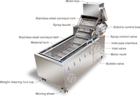 Automatische Gemberaardappel Fruitgroentewasmachine Data Reinigingsmachine Aardappelen Plantaardige Vortex Wasmachines