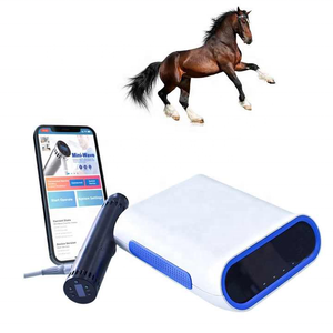 Machine professionnelle de thérapie par ondes de choc vétérinaire pour chevaux chiens Machine de thérapie focalisée <span class=keywords><strong>portable</strong></span> pour ED et soulagement de la douleur - Product Image 1
