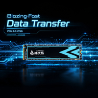 Lot en gros de disques SSD internes M.2 2280 NVMe PCIe 3.0 de 1 To et 2 To pour les intégrateurs de systèmes