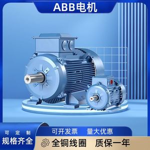 มอเตอร์ไฟฟ้ากระแสสลับ Abb รุ่น M2bax ซีรีส์ 11 กิโลวัตต์ 15 กิโลวัตต์ ขดลวดทองแดงทั้งหมด สำหรับอุปกรณ์เครื่องจักรกล - Product Image 3
