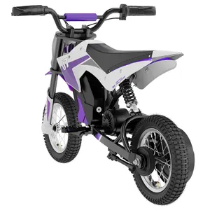 Folding Kid Dirt Bike 20 Inch Battery 36V Ebike 2000W Dual Hub Motor Foldable Electric Bike For Sale