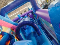 Parcours d'obstacles gonflable, château gonflable avec toboggan, combo de jeux gonflables de dessin animé pour parc d'attractions, jeux gonflables pour l'extérieur