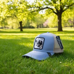 Cappello Trucker Cash a 6 Pannelli in Rete Regolabile Unisex Casual Primavera Estate con Ricamo sul Pannello Frontale - Product Image 2