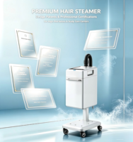 Appareil de vapeur capillaire professionnel de qualité supérieure pour coiffeurs et salons – Meilleures ventes – Design de casque vapeur