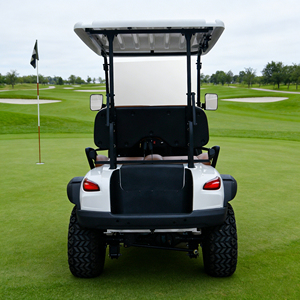 Carrito <span class=keywords><strong>de</strong></span> Golf WOLAN para Retorno y Clasificación <span class=keywords><strong>de</strong></span> Libros, Silencioso, para 2 Personas, Ideal para Salas <span class=keywords><strong>de</strong></span> <span class=keywords><strong>Estudio</strong></span> - Product Image 3