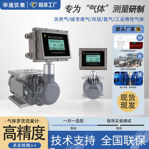Hualiu Gas Roots <b>Flow</b> <b>Meter</b> DN50 Digital Display Rotary <b>Meter</b> For Hydrogen Nitrogen Liquefied Gas - Product Image 2
