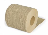 Usine de papier toilette en bambou écologique 1/2/3/4 plis OEM naturel GSM noyau roulant prix de gros nettoyage de cuisine pas cher
