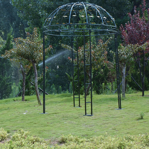 Pergola de style français, robuste, en forme de cage à oiseaux, arche, tonnelle, jardin extérieur, blanc en vrac, décoration, gazebo pour mariage - Product Image 5