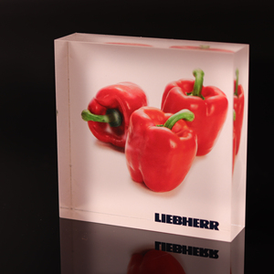 Acrylique De Couleur claire Fruits Cube <span class=keywords><strong>Photo</strong></span> Affichage Marque <span class=keywords><strong>Plexiglas</strong></span> Bloc de Logo - Product Image 1