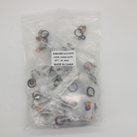 Kits de Reparación de Inyectores de Combustible GDI A2820720100 para Renault Megane, Clio, Kangoo, Dacia, Mercedes-Benz, Nissan, Mitsubishi