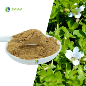 Bubuk Ekstrak <span class=keywords><strong>Bacopa</strong></span> Monnieri Food Grade 10:1 <span class=keywords><strong>20</strong></span>% Bubuk Bacosides - Product Image 2
