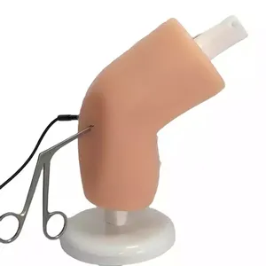 Simulateur de chirurgie artroscopique du genou intégré humide et sec