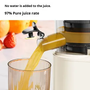 Electric <strong>Juicer</strong> Large Caliber Cross-Border Pulp Separator Slow <strong>Juicer</strong> Filter for Home Commercial Use English - Product Image 4