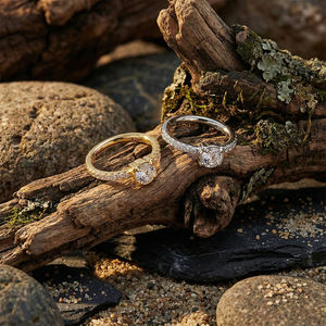 Hoa tai titan G23 cao cấp dành cho nữ, đính zircon, khuyên mũi, khuyên tai, khuyên daith, khuyên sụn - Product Image 1