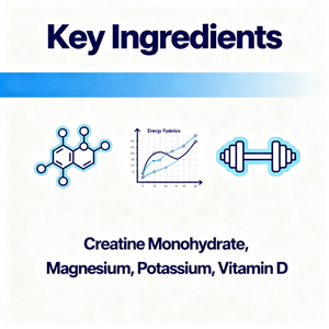Gomitas de Monohidrato de Creatina de Marca Privada Ovita OEM, Suplemento de Creatina para el Desarrollo Muscular y la Recuperación <span class=keywords><strong>Post</strong></span>-Entrenamiento - Product Image 2
