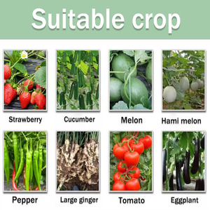 Carbendazim Seed and Soil <strong>Treatment</strong> Seed Dressing for Seed-Borne Disease Control Soil <strong>Treatment</strong> for Soil-Borne Disease Control - Product Image 4