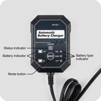 Chargeur de batterie portable haute efficacité 6/12V automatique avec connexion par prise, entrée 110-220V, garantie 1 an