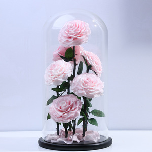 Fiore di Rosa Conservato in Cupola Acrilica, Il Piccolo <span class=keywords><strong>Principe</strong></span>, Regalo Qixi, San Valentino, Festa degli Insegnanti, Regalo Premium di Alta Gamma - Product Image 4