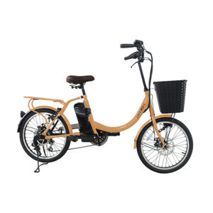 Bicicleta eléctrica de montaña C074 DIANA Dynem con asistencia al pedaleo, doble batería, neumáticos y un diseño atractivo y personalizaciones. - Product Image 1