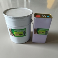 Kit de Résine de Polyuréthane Claire Hautement Perméable pour Liant de Gravier Extérieur, Agrégats Époxy pour Pavés et Revêtements de Sol, 20 kg