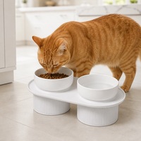 Gamelle double en céramique pour chat et chien, surélevée, robuste, avec support – Meilleure vente
