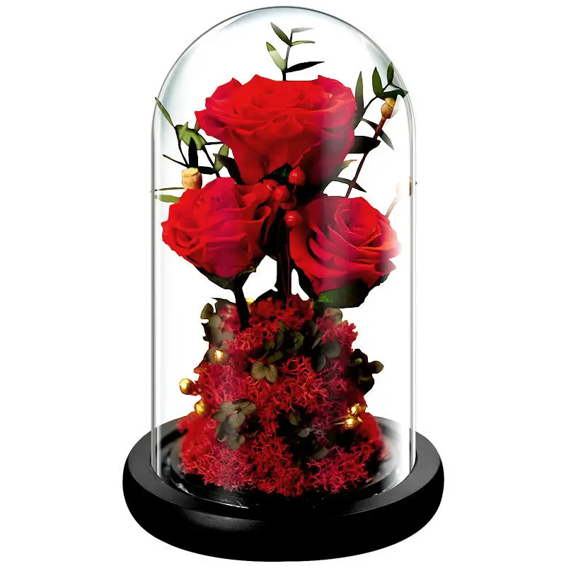 Creative Romantic Flower Gift With Long Lasting Rose Preserved Forever Preserved Rose Flower In Glass Dome