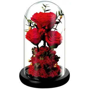 Regalo creativo di fiori romantici con rosa di lunga durata conservata per sempre fiore di rosa stabilizzato In cupola di vetro