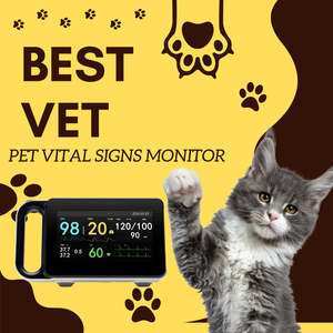 病院用患者モニター バイタルサインモニター PM12B 犬猫用、7インチタッチスクリーン <span class=keywords><strong>ECG</strong></span> SPO2 NIBP TEMP RESP ペット麻酔用 - Product Image 3