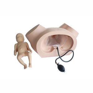 Simulador de entrenamiento de parto femenino de <span class=keywords><strong>ginecología</strong></span>, modelo de partería para trabajo anormal, maniquí de ciencia médica para escuelas - Product Image 1