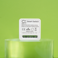 Module d'interrupteur intelligent SIXWGH Tuya Zigbee3.0 RF433, relais 10A, interrupteur mural 16A, contrôle vocal et temporisé de l'éclairage pour passerelle Smart Life