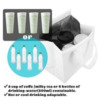 Petit sac isotherme jetable pour repas à emporter, sac de courses pour le déjeuner, sac thermique doublé d'aluminium, vente en gros