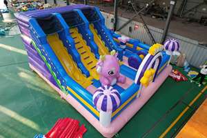 <span class=keywords><strong>Location</strong></span> de châteaux gonflables Dongyuan, château gonflable Moonwalk, toboggan aquatique, château gonflable en PVC, taille personnalisée, châteaux pour enfants, châteaux touristiques - Product Image 4