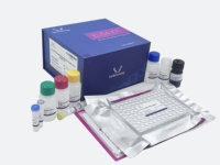 Kit humain de GLP1 (glucagon comme le peptide 1) ELISA