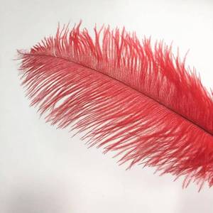Plumes d'autruche douces de 30-35 cm, teintes en rouge, blanchies, aux couleurs vives, pour cosplay, carnaval, mascarade, Halloween, Noël, costumes et masques - Product Image 5