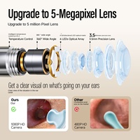 Caméra auriculaire visuelle en acier inoxydable 1080P HD avec 5 embouts de cuillère interchangeables pour l'élimination du cérumen, otoscope endoscope rechargeable par USB