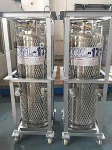 195l 2.88MPa High Quality Cryogenic Liquid Nitrogen Oxygen Argon Dewar Gas Cylinder