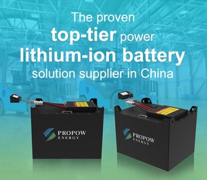 OEM Long Life Maintenance-Free Fast Charging <b>24V</b> 36V 48V 72V 80V 160Ah 210AH 300Ah 460Ah 560Ah Lithium <b>Battery</b> 51.2V 300Ah Propo - Product Image 5