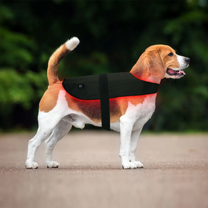 <span class=keywords><strong>2025</strong></span> <span class=keywords><strong>Hot</strong></span> Bán Chất lượng cao equin liệu Pháp màu đỏ thiết bị thân thiện với vật nuôi chăm sóc sức khỏe chó mèo hồng ngoại trị liệu bọc - Product Image 5