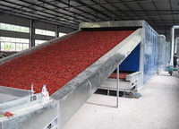 Plantaardige Droogapparatuur Vijg Kokosnoot Fruit Drogen Productielijn 300 Kg/u Doorlopende Band Droger Machine