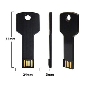 Usine En Gros <span class=keywords><strong>Clé</strong></span> Usb En Métal 2.0 3.0 1GB 2GB 4 GB 8GB 16GB 32GB 64 GB Usb Memorias Mémoire Usb Étanche - Product Image 2
