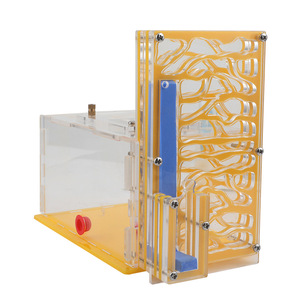 Villa e Terrario Trasparente in Acrilico per Formiche: Un Regno e un Palazzo per la Tua Colonia di Formiche - Product Image 6