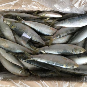 Importadores de Sardinas, Pescado Congelado, <span class=keywords><strong>Precio</strong></span> de Exportación de Sardinas, Sardinas Congeladas en Venta - Product Image 1