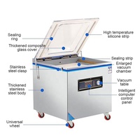 Machine de mise sous vide électrique DZ420 DZ520 pour filets de poisson, poulet, fruits, poitrines, aliments, avec chambre unique et fonction de stockage progressif