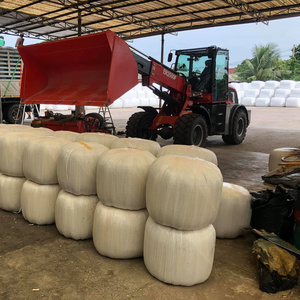 <span class=keywords><strong>CE</strong></span> Everun kualitas tinggi ER2500F 2.5Ton multifungsi kecil diesel Bucket kompak teleskopik roda Mini <span class=keywords><strong>Loader</strong></span> - Product Image 3