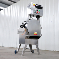 Multifunctionele groentehakker, bladgroente-, selderij- en spinaziesnijmachine, groente- en fruitsnijder, -slicer en -shredder