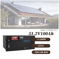 Système de stockage d'énergie solaire domestique Haiyou OEM Split IP65 LiFePO4 51.2V 100Ah 5KWh