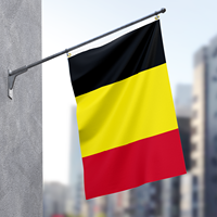 Drapeau de la Belgique 3x5 pieds - Drapeau national belge Runesol avec 2 œillets en laiton, polyester haute résistance (60x90cm)
