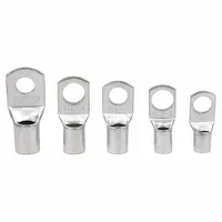 Terminaux à sertir de type SC SC6/10/16/25/35/50/70/95, cosses de batterie en cuivre nu, connecteurs de câble annulaires, diamètre intérieur du trou 6/8/10/12mm