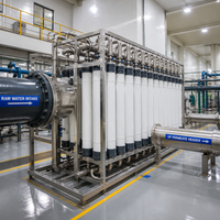 Module de membrane d'ultrafiltration à fibres creuses, cartouche filtrante UF 5000L/heure, garantie 1 an pour la purification de l'eau potable