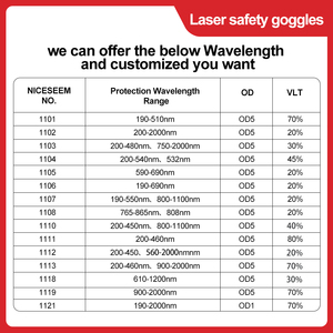 Occhiali protettivi da lavoro personalizzabili OEM ODM 190-2000nm Laser di sicurezza 10600nm occhiali di protezione per gli occhi - Product Image 6
